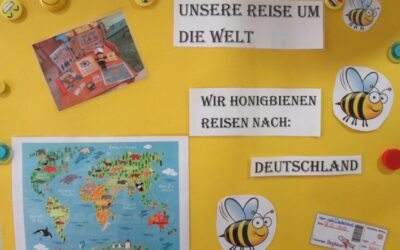 Die Honig- und Waldbienen reisen um die Welt