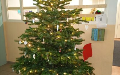Der Advent zieht ins Bienenhaus ein